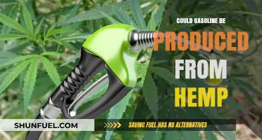 Exploring the Potential: Hemp as a Sustainable Gasoline Alternative