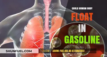 Exploring the Science: Can the Human Body Float in Gasoline?