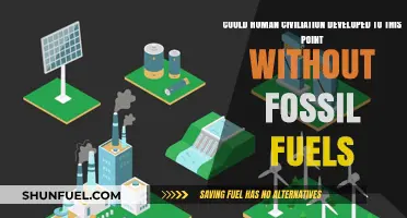 Fossil Fuels: Essential for Human Civilization's Progress?