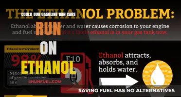 Exploring the Feasibility of Ethanol as a Gasoline Alternative