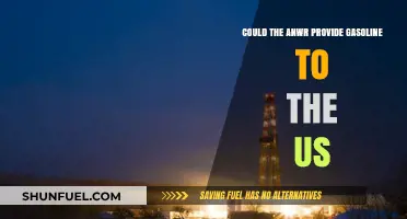 Could the ANWR Provide Gasoline to the US?