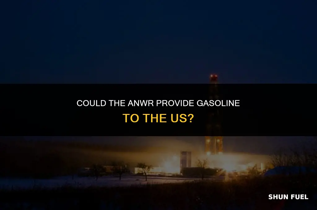 could the anwr provide gasoline to the us