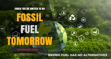 Switching Off Fossil Fuels: A US Overnight Revolution?