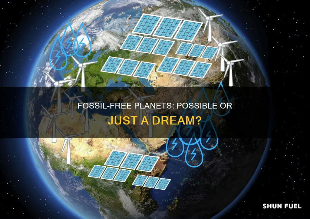could there be a planet without signifigant fossil fuels