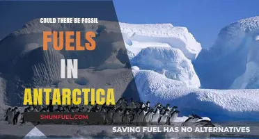 Antarctica's Fossil Fuel Mystery: What Lies Beneath?