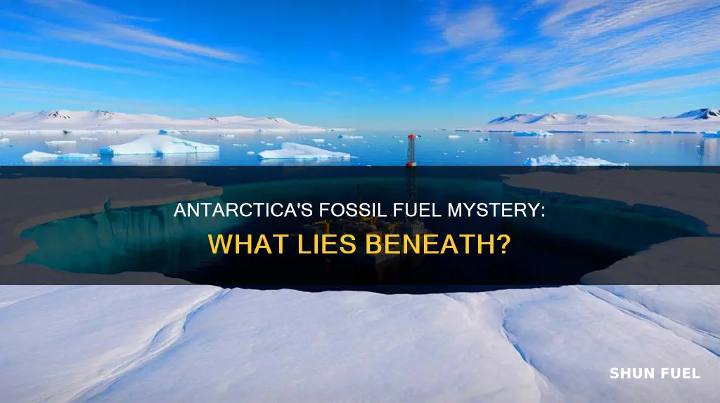 could there be fossil fuels in antarctica