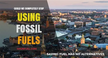 Can We Achieve a Fossil Fuel-Free Future? Exploring Possibilities and Challenges