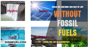 Living Fossil-Free: Is It Possible?