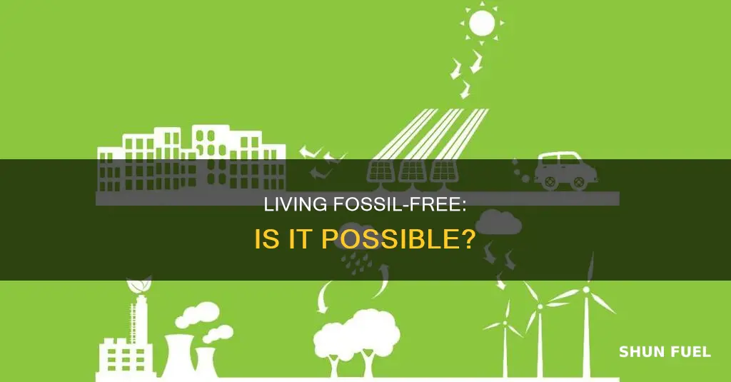 could we continue our way of life without fossil fuels