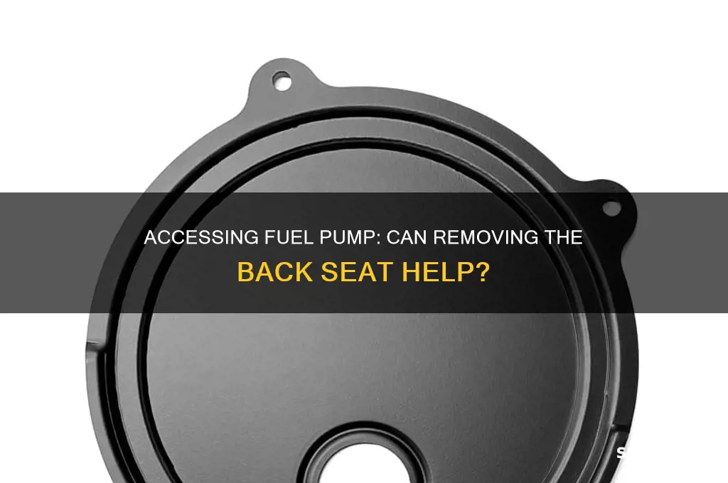 could you get to fuel pump by removing back seat