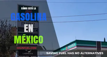 Exploring the Current State of Gasoline in Mexico: Trends and Insights