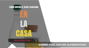 Cómo Eliminar el Olor a Gasolina en tu Hogar: Guía Completa