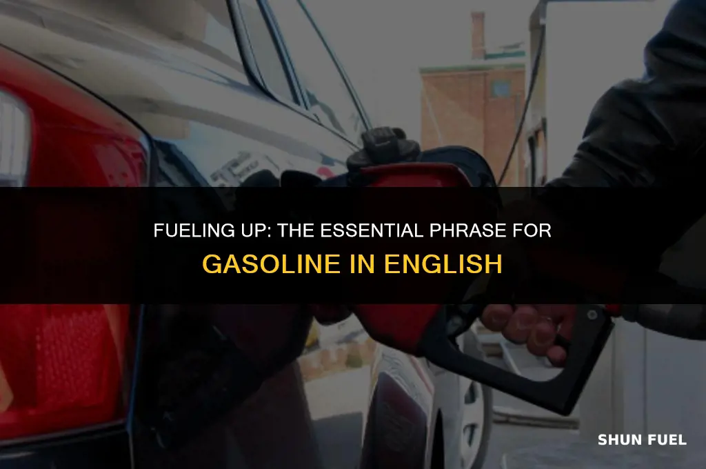 cómo se dice echar gasolina en inglés