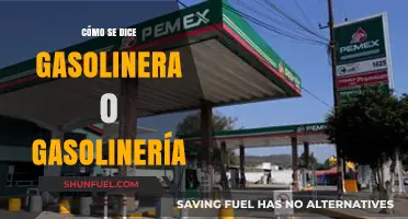 Exploring the Difference: Gasolinera vs. Gasolinería in Spanish