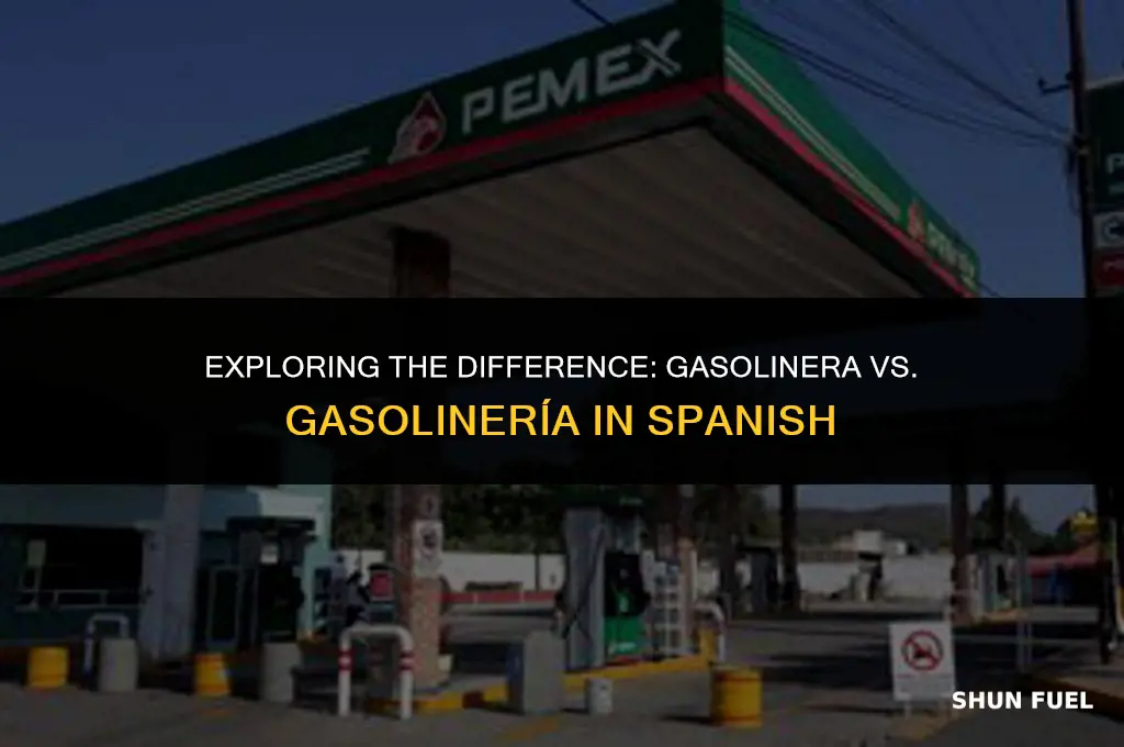 cómo se dice gasolinera o gasolinería