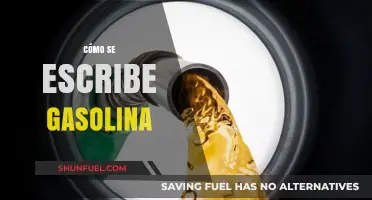 Cómo Se Escribe Gasolina: Una Guía Para Evitar Errores Comunes