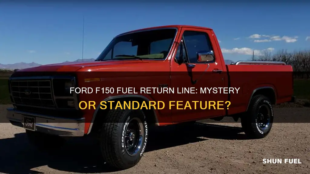 did 1980-1986 ford f150 have fuel return line