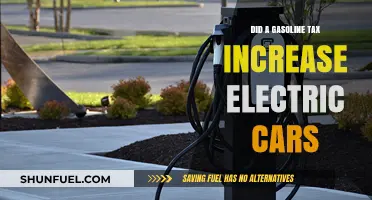 Gasoline Tax Hike: Did It Accelerate the Shift to Electric Cars?