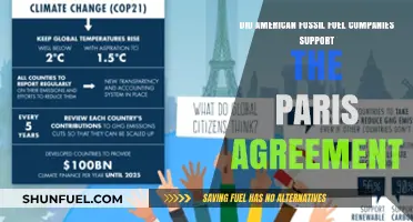 Fossil Fuel Giants and the Paris Agreement: Who's Really in Control?