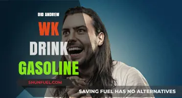 The Truth Behind Andrew WK's Controversial Gasoline Incident