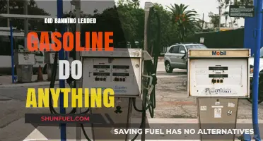 The Impact of Banning Leaded Gasoline: A Comprehensive Analysis