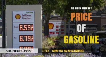 Examining the Impact of Biden's Policies on Gasoline Prices