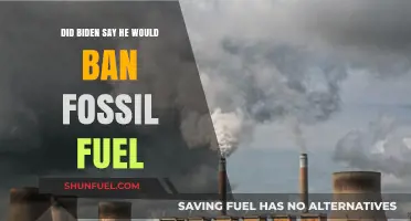 Biden's Fossil Fuel Ban: Promise or Political Ploy?