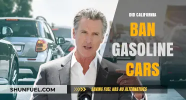 California's Bold Move: Banning Gasoline Cars by 2035