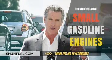 California's New Law: Farewell to Small Gasoline Engines?