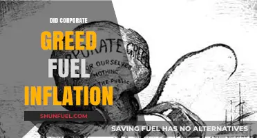 Corporate Greed's Role in Rising Inflation: Fact or Fiction?