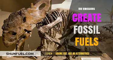 How Dinosaurs' Demise Created Fossil Fuels