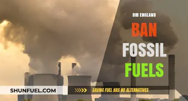 England's Fossil Fuel Future: Ban or Business as Usual?