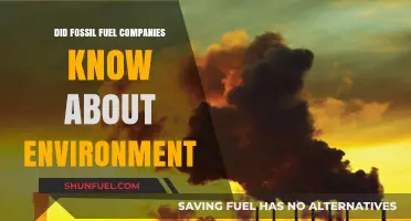 Fossil Fuel Companies: Ignorance or Climate Change Denial?