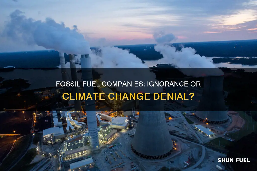 did fossil fuel companies know about environment