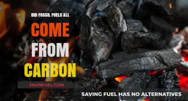 The Origin of Fossil Fuels: Carbon's Ancient Legacy