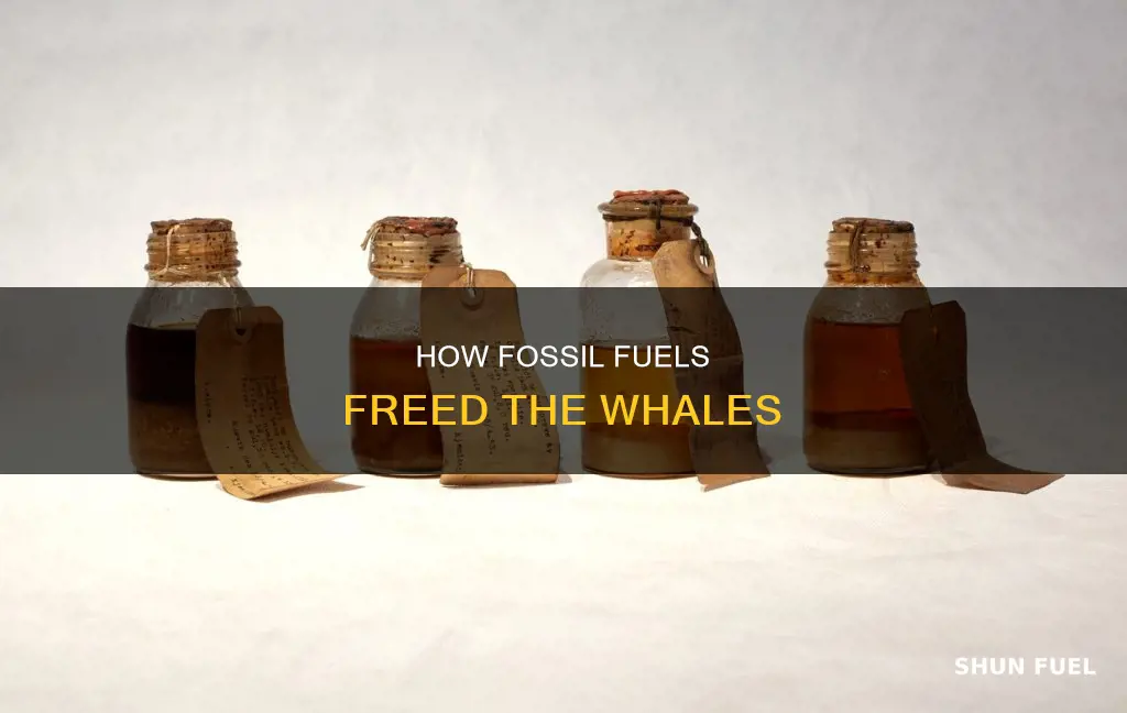 did fossil fuels save the whales