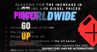 Fuel Prices Surge: Analyzing the Recent Rise and Its Impact