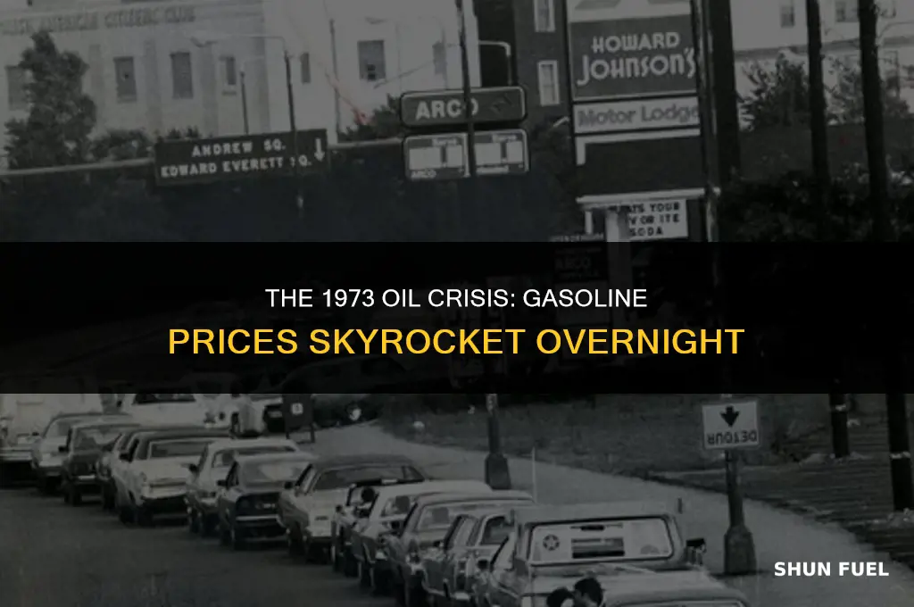 did gasoline at the pump price change drasticly in1973