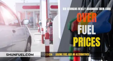 German Car Owners: Fuel Price Crisis or Myth?