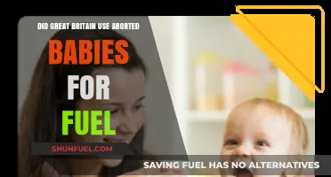 Aborted Babies as Fuel: Uncovering the Shocking Truth About Great Britain