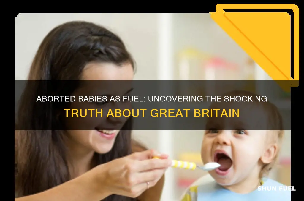 did great britain use aborted babies for fuel