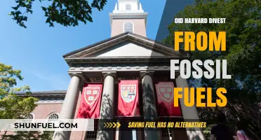 Harvard's Fossil Fuel Divestment: A Comprehensive Overview