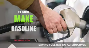 Unraveling the Origins: Did Humans Create Gasoline?