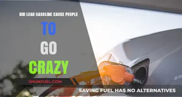 Unleaded Minds: The Controversial Link Between Lead Gasoline and Mental Health