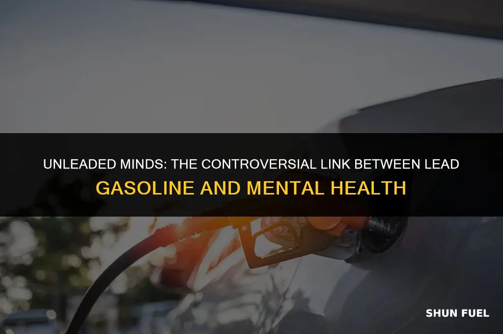 did lead gasoline cause people to go crazy