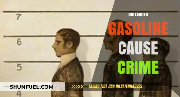 Unleaded Minds: The Surprising Link Between Gasoline and Crime Rates