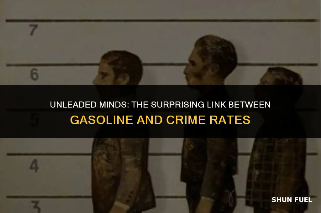 did leaded gasoline cause crime