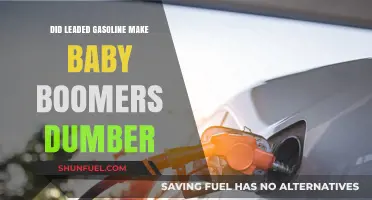 Unleaded Insights: The Impact of Gasoline on Baby Boomer Intelligence