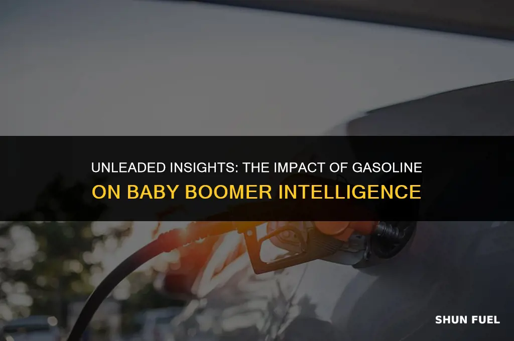 did leaded gasoline make baby boomers dumber