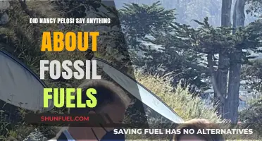 Pelosi's Take on Fossil Fuels: What Did She Say?